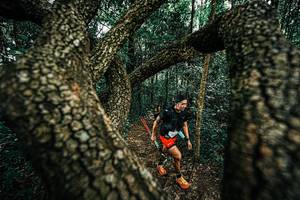 BIB: 
                            <button type="button" onclick="openModal(25393590)" class="btn btn-primary btn-sm float-right btn-popup" data-toggle="modal" data-target=".modal-high-quality">
                        <i class="fas fa-shopping-cart"></i> Add to Cart
                    </button>
                                            <button type="button" onclick="isThisMe(25393590, true)" class="btn btn-success btn-sm float-right btn-popup btn-isme hidden" data-toggle="tooltip" data-placement="bottom" title="นี่คือรูปของคุณใช่ไหม คลิกที่นี่เพื่อเอาเข้าอัลบั้ม">
                        <i class="fas fa-plus"></i> Add to album
                    </button>
                    <button type="button" onclick="isThisMe(25393590, false)" class="btn btn-warning btn-sm float-right btn-popup btn-isnotme hidden">
                        <i class="fas fa-ban"></i> Remove from album
                    </button>